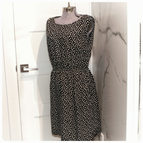 Catherine Malandrino dress S/P - perfect for work! - Picture 1 of 4